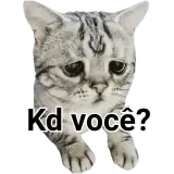 Sticker de Gatos para WhatsApp