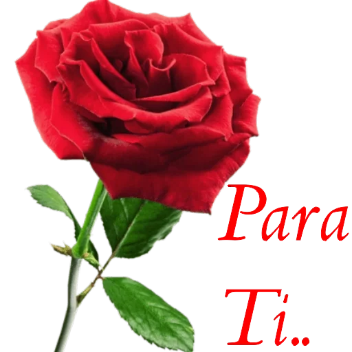 Figurinha para WhatsApp — Amor