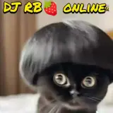 Figurinha de Gatos para WhatsApp