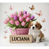 Animais WhatsApp sticker