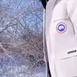 Figurinha para WhatsApp