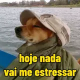 Figurinha de Memes Brasileiros para WhatsApp