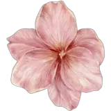 Figurinha para WhatsApp