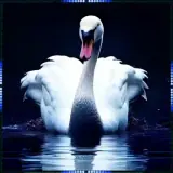 Figurinha para WhatsApp