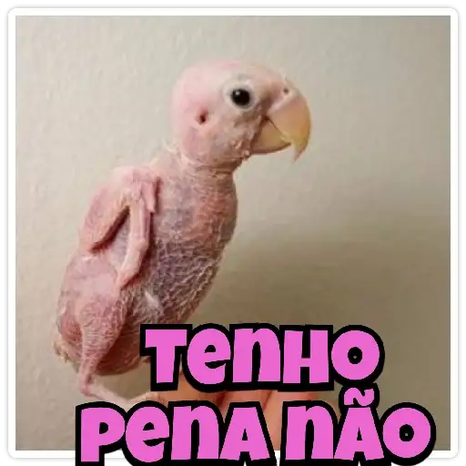 Coletadas sticker 938