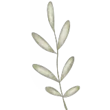 Figurinha para WhatsApp