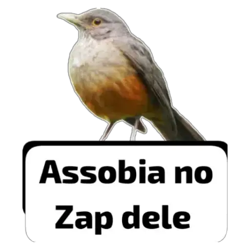 Coletadas sticker 37562