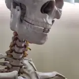 Figurinha para WhatsApp