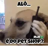 Memes WhatsApp sticker