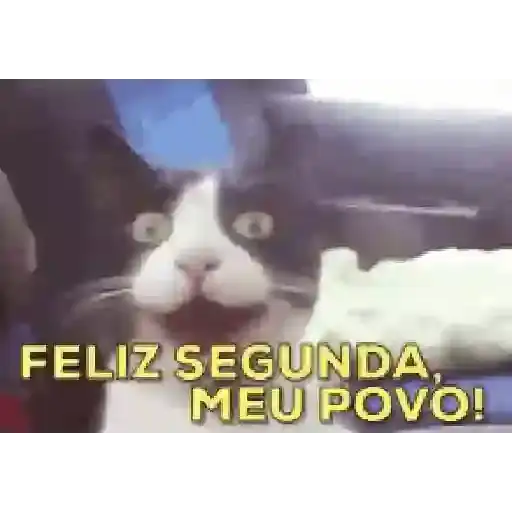 Coletadas sticker 4193