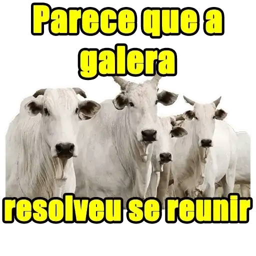 Coletadas sticker 15062