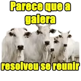 Figurinha de Memes Brasileiros para WhatsApp