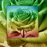 Figurinha de Amor para WhatsApp