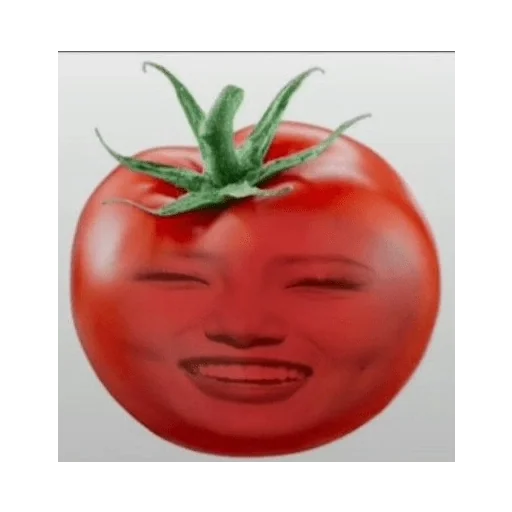 Figurinha para WhatsApp — Memes