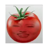 Memes WhatsApp sticker