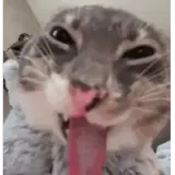 Figurinha para WhatsApp