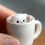 Figurinha para WhatsApp