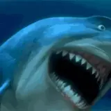 Figurinha de Animais para WhatsApp