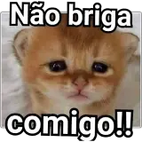 Figurinha de Gatos para WhatsApp