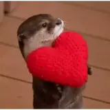 Figurinha de Amor para WhatsApp