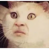 Sticker para WhatsApp