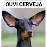 Figurinha de Cachorros para WhatsApp