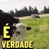 Figurinha de Memes Brasileiros para WhatsApp
