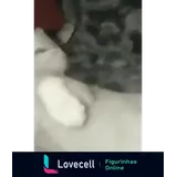 Sticker para WhatsApp