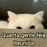 Figurinha de Gatos para WhatsApp