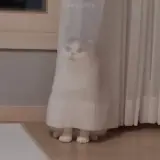 Figurinha para WhatsApp