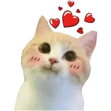 Figurinha de Animais para WhatsApp