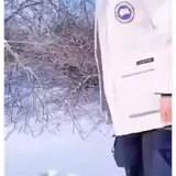 Figurinha de reação para WhatsApp