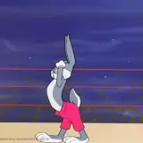 Sticker de Animais para WhatsApp