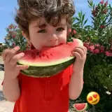 Figurinha de Memes para WhatsApp