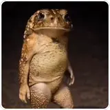 Figurinha de Animais para WhatsApp