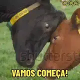 Figurinha para WhatsApp