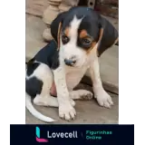 Sticker para WhatsApp