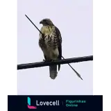 WhatsApp sticker