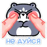 Figurinha de reação para WhatsApp