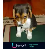 Figurinha para WhatsApp
