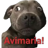 Figurinha para WhatsApp