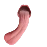 Figurinha de reação para WhatsApp