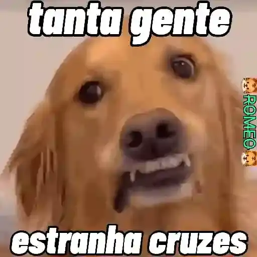 Coletadas sticker 36481