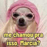 Figurinha de Memes Brasileiros para WhatsApp