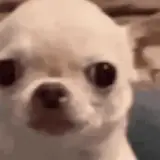 Sticker de Cachorros para WhatsApp