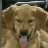 Sticker para WhatsApp