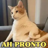 Figurinha de Gatos para WhatsApp