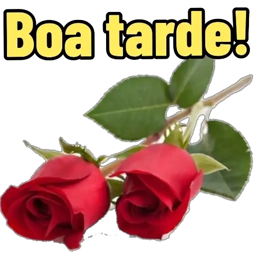 Coletadas sticker 11381
