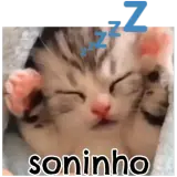 Figurinha de Animais para WhatsApp