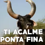 Figurinha de Memes Brasileiros para WhatsApp